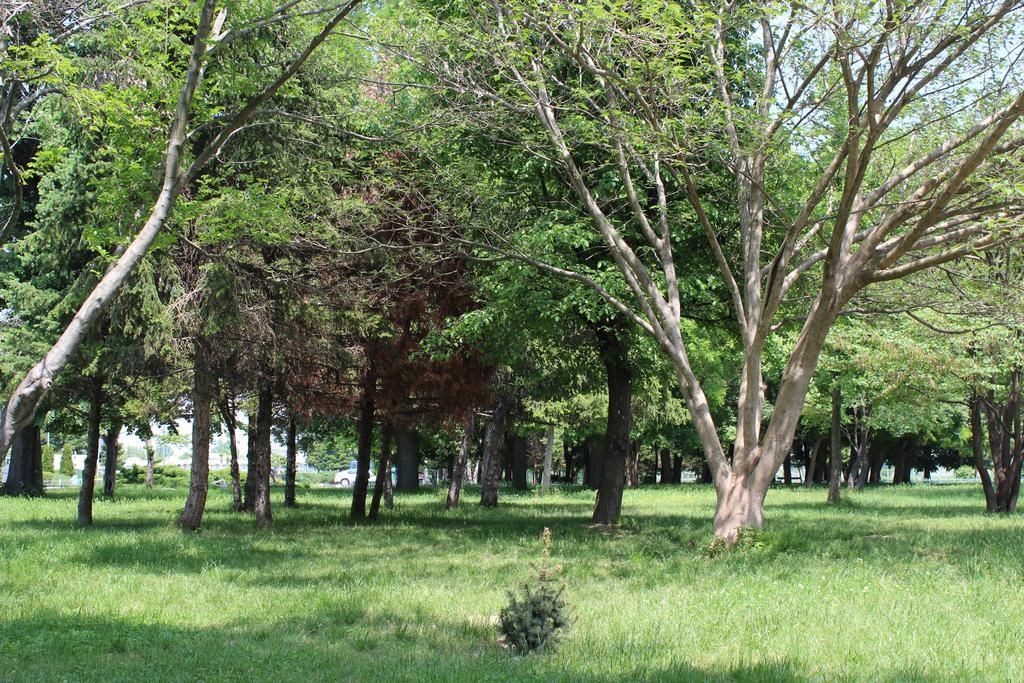 Youth Centre Plovdiv Luaran gambar
